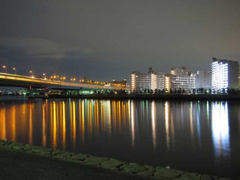 潮とタイミングとベイトの関係