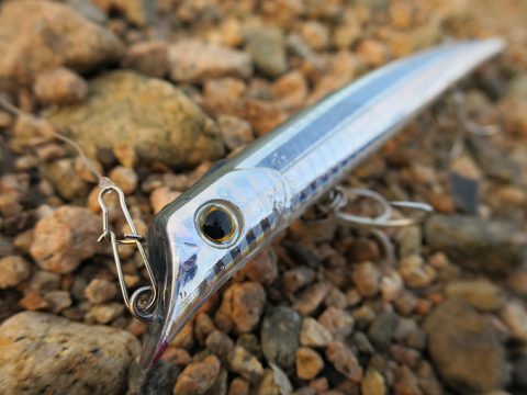 ルアーのドリフトでシーバスを狙う効果と釣果