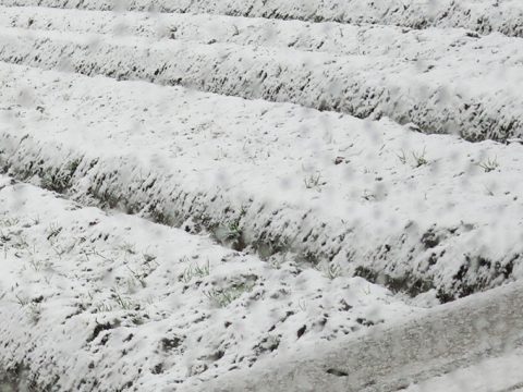 シーバス釣りの冬パターン