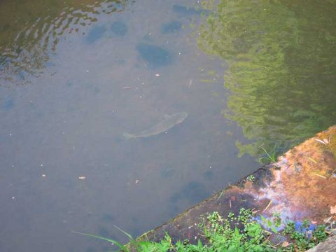 真冬のシーバスポイントを条件から絞り込む