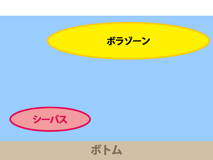 ボラとシーバスのポジション