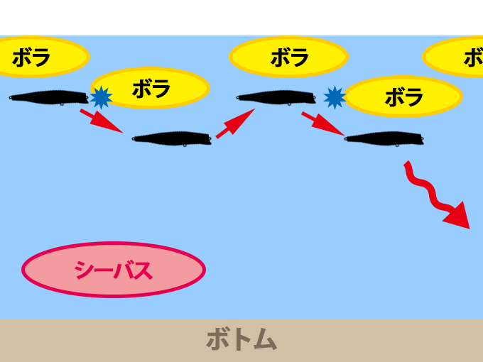 ボラに当てながらスローに引く