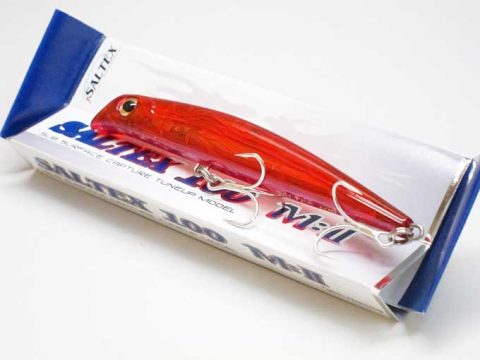 春から夏にかけてのシーバス釣りについて