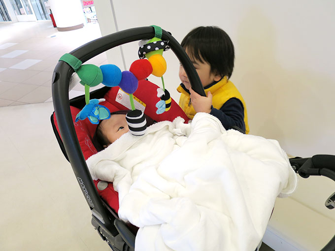 最近の坊っちゃん