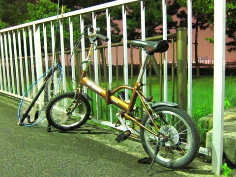 自転車保険を比較検討!