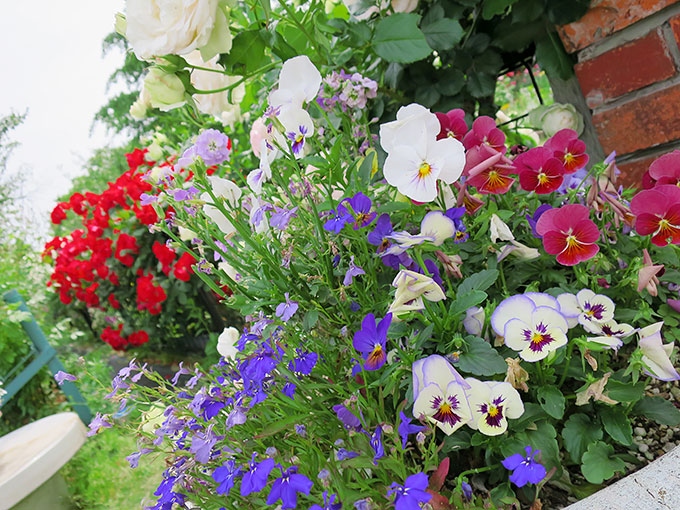 尼崎の交通公園・分区園