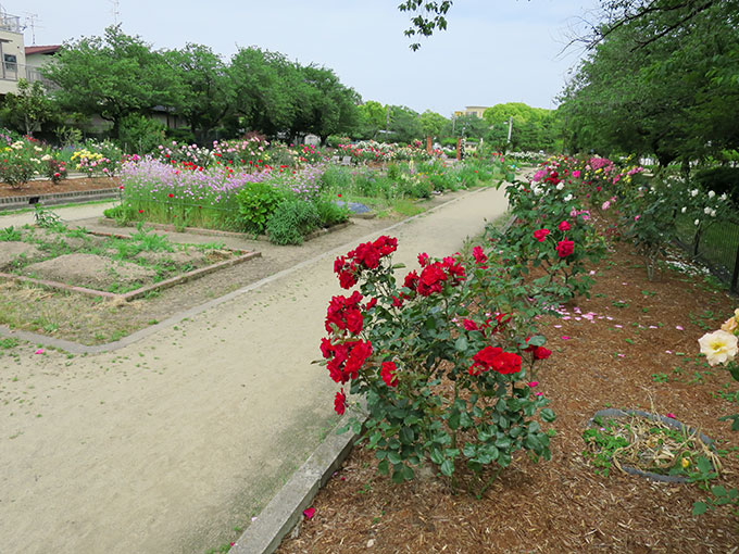 尼崎の交通公園・分区園