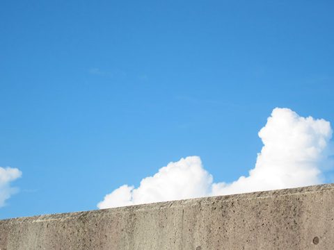 夏のシーバス釣りについて
