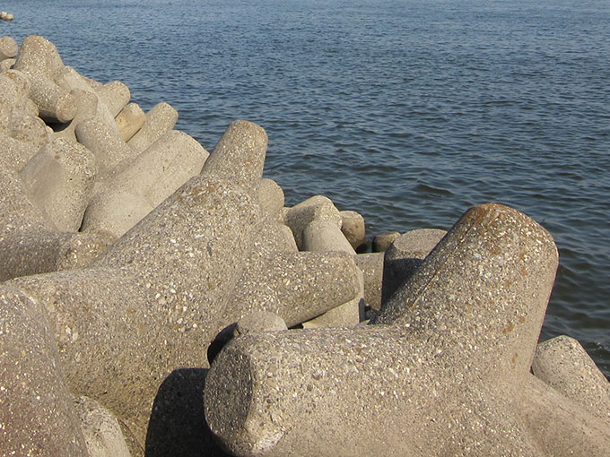 夏シーバス・テトラ帯