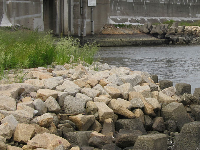 夏シーバス・水門周り