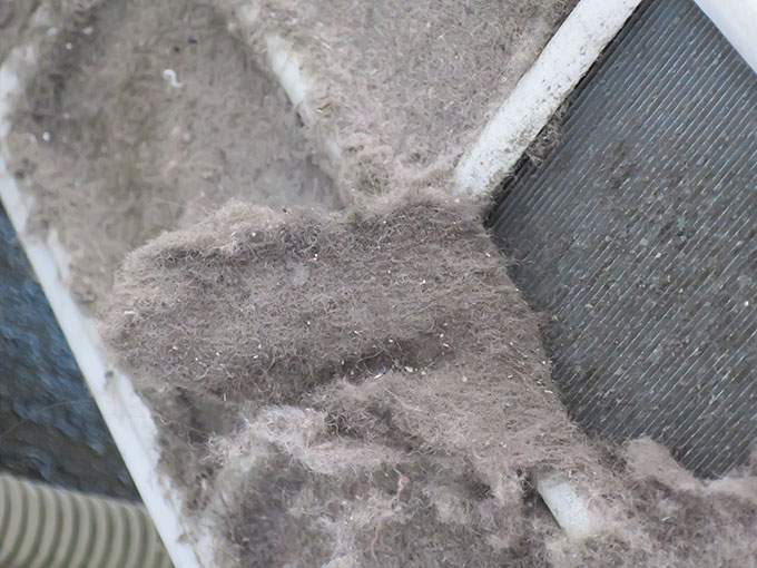 ごっぞり取れるところも