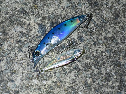 数年ぶりに連闘してみましたが…