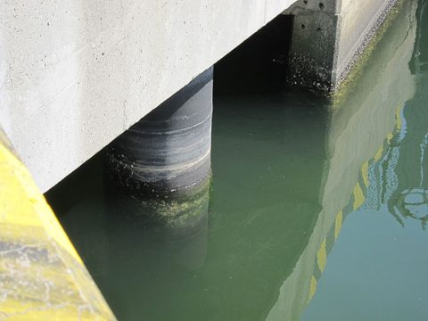 シーバスを釣りやすいポイントについて・見落とし編