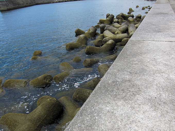 西宮ケーソンのテトラ