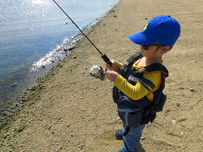 3歳児のリトリーブ練習