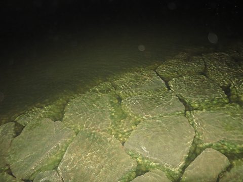 ルアーの根掛かりを回避しながら探るロッドアクション