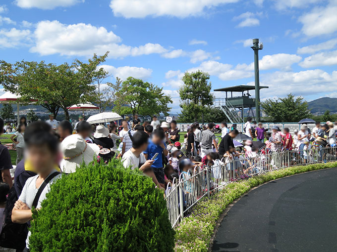 ポニー乗馬は人気