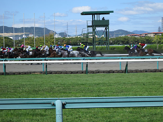 迫力のレース!!