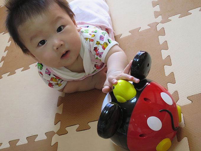 幼児も夢中で遊べます!!