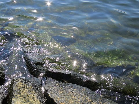 自分だけの釣行時間を探してみる