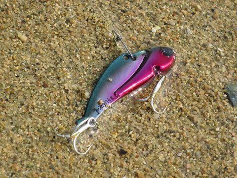 シーバス釣り初心者さんに役立つサイトの紹介