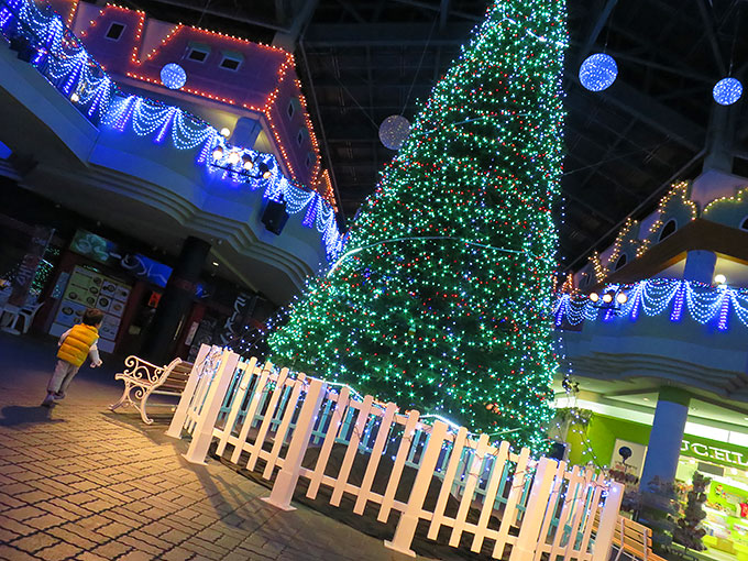 レオマワールドのクリスマスツリー