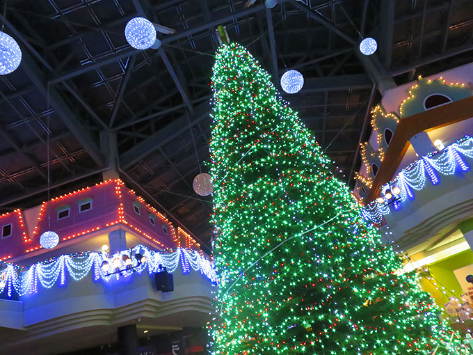 レオマワールドのクリスマスツリー