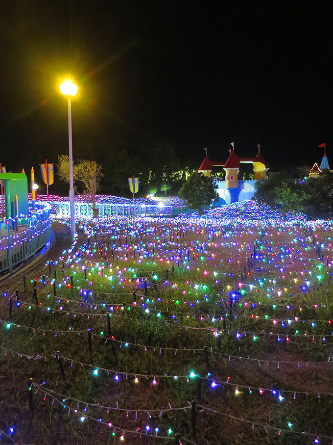 バードランドへ