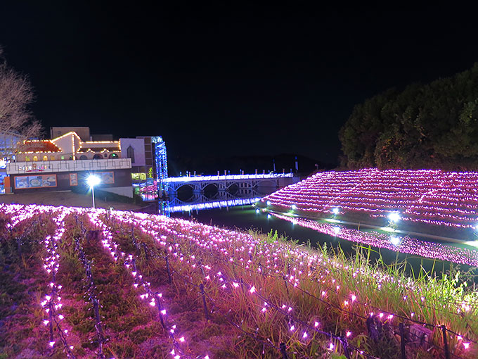 水路も綺麗にライトアップ