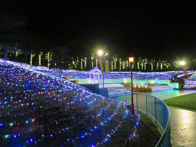 イルミネーションが綺麗です