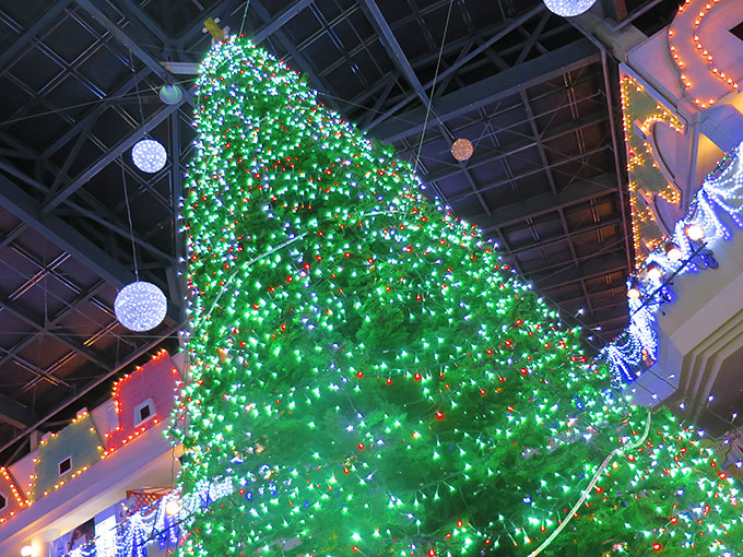 クリスマスツリーに別れを告げ