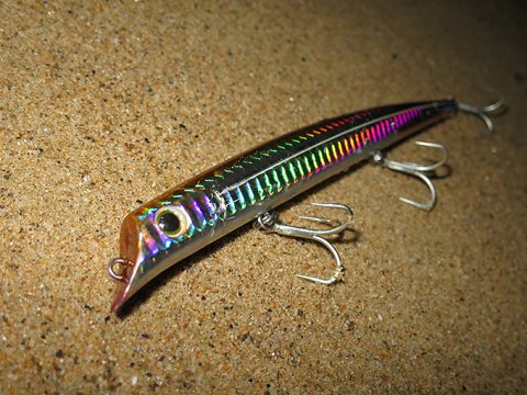 シーバス釣りでベイトを探す具体的な方法