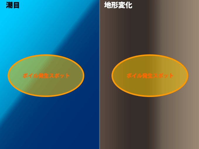 潮目や地形変化