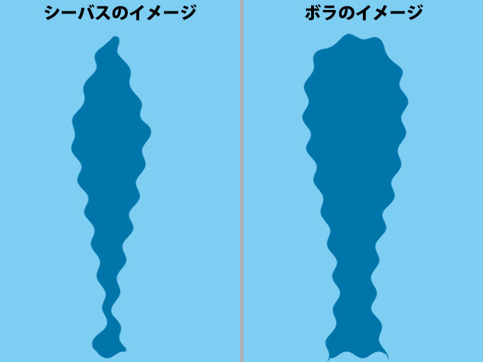ボラとシーバスの見分け方・水中イメージ