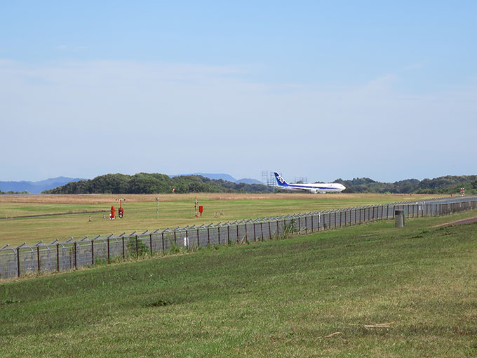 飛行機が動き出し
