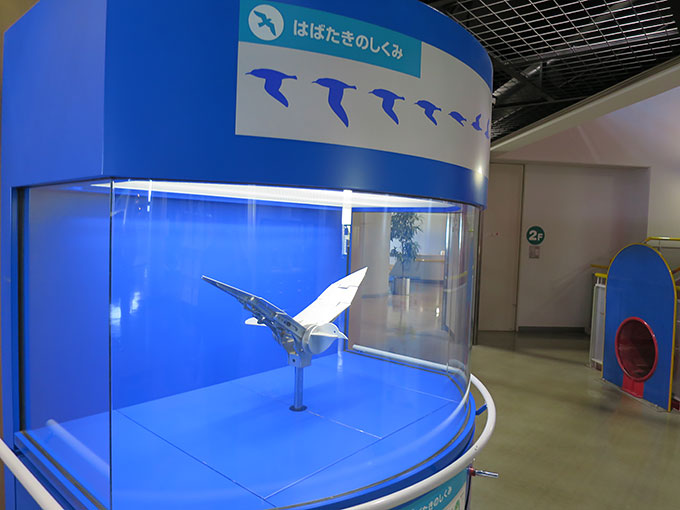 はばたきのしくみ