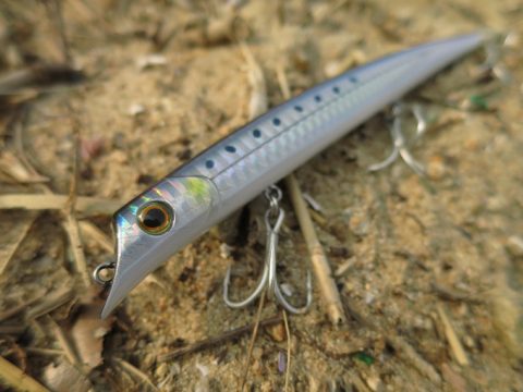 何故かカタクチ…