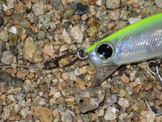 シーバス釣りの動作について