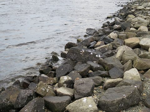 シーバスが釣れる穴場ポイントの探し方