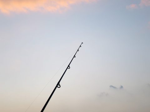 シーバスアングラーにありがちな法則