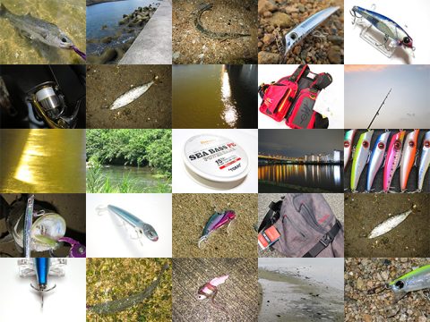 シーバス釣りの基本とコツを総まとめ!