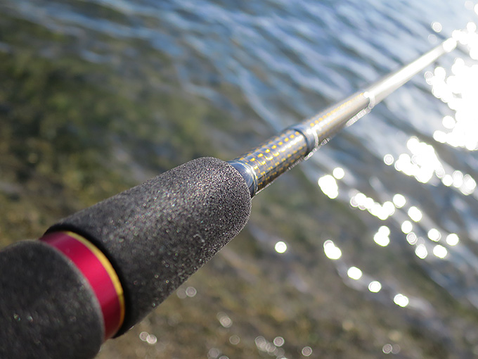 AGS URBAN SIDE CUSTOM