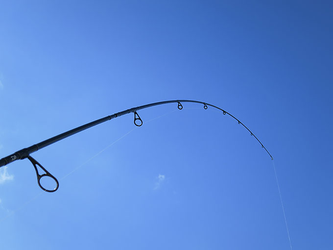 魚を掛けても問題なし