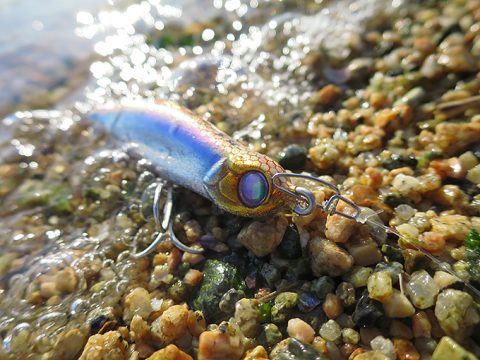 シーバス釣りに重要!流れの方向を調べる簡単な方法!!