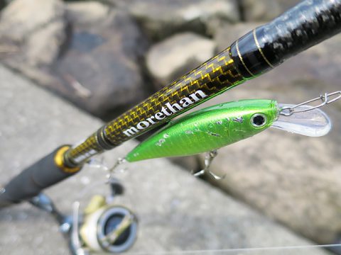 ポカポカ日和でしたが魚は釣れません