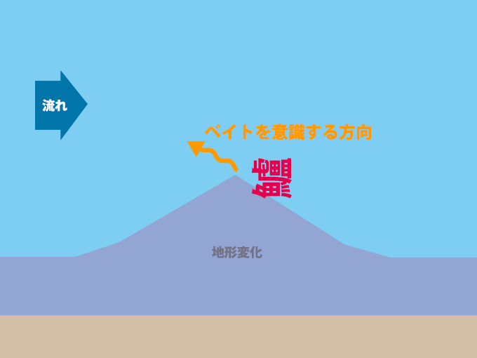 シーバスの意識