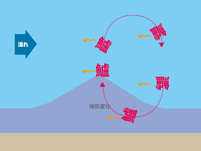 シーバスのポジション