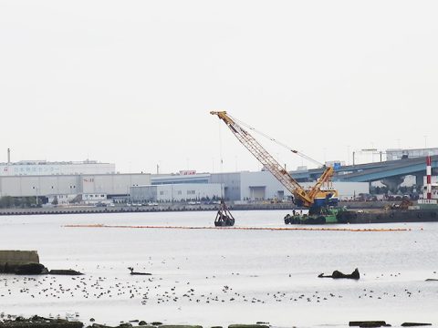 甲子園浜の一部が渡り鳥保護のため立入禁止期間に!!