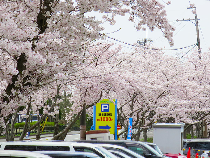 東条湖おもちゃ王国の駐車場
