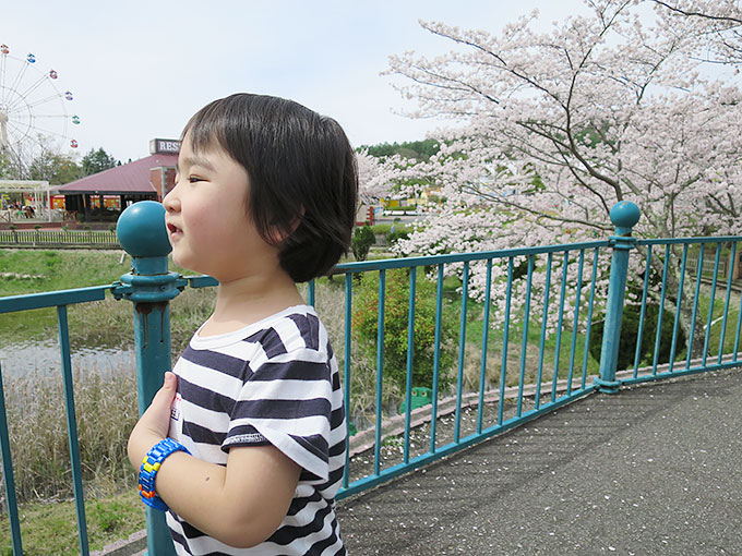 桜と湖の前で記念写真!!